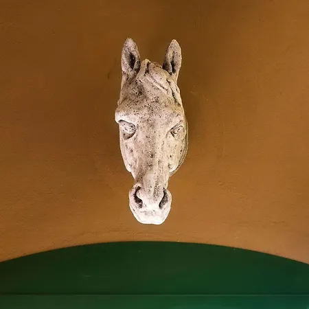 Mezza Luna